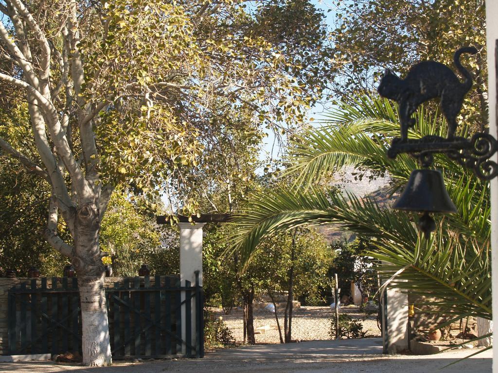 Pegasus Studios & Apartments Skyros Extérieur photo