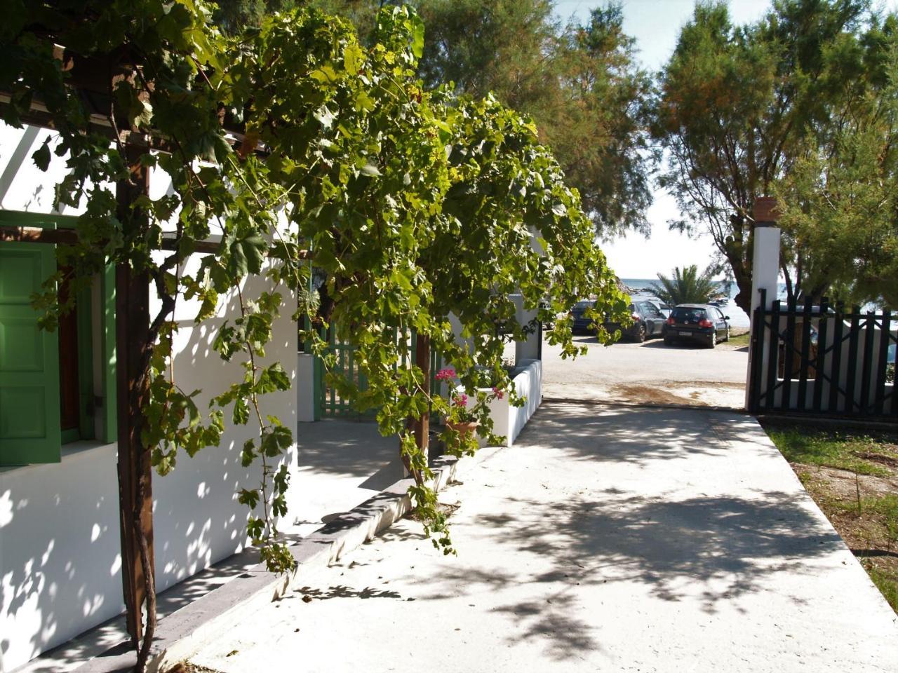 Pegasus Studios & Apartments Skyros Extérieur photo